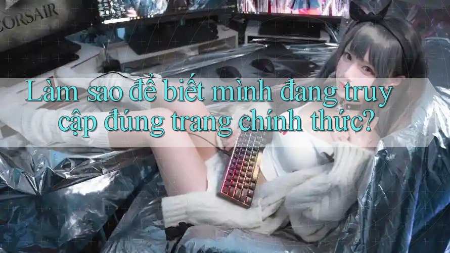 Làm sao để biết mình đang truy cập đúng trang chính thức?